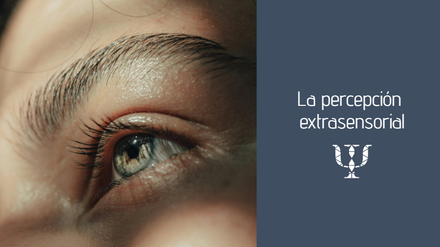 Imagen de Servicios de Psicología