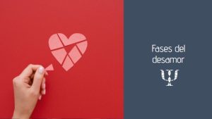Fases del desamor 